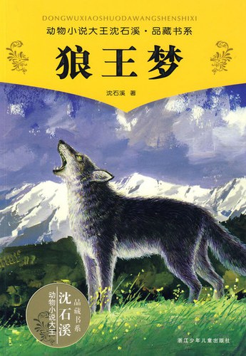 狼王梦 封面