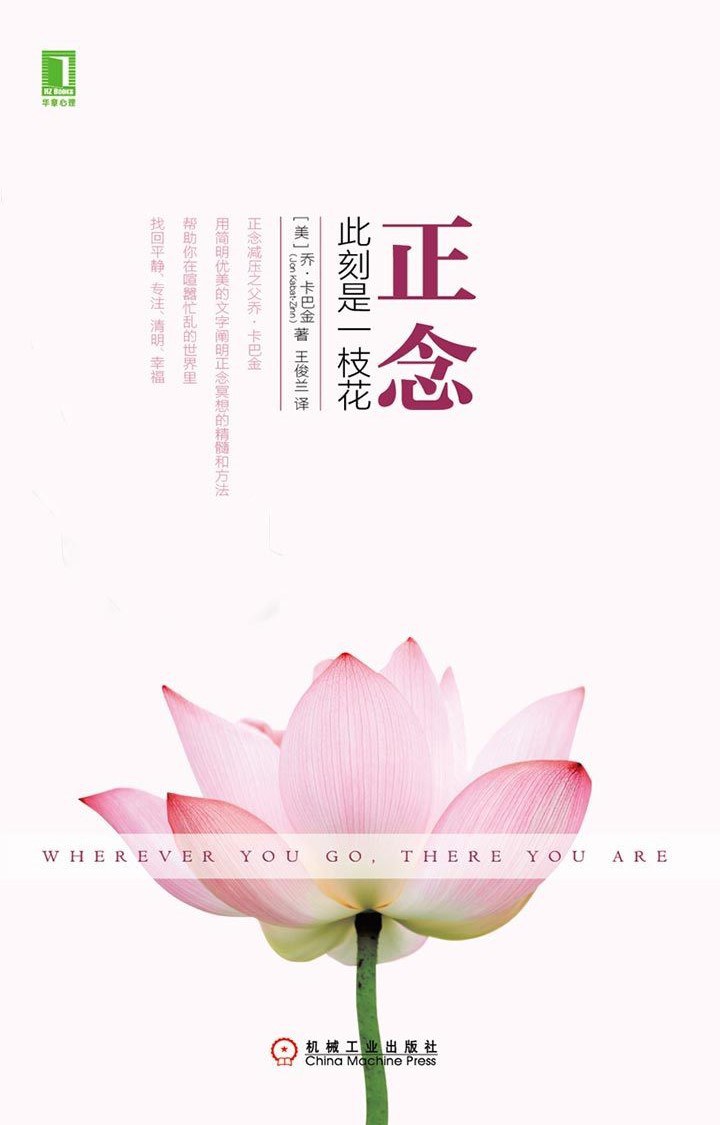 正念：此刻是一枝花 封面