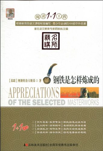 钢铁是怎么炼成的？ 封面