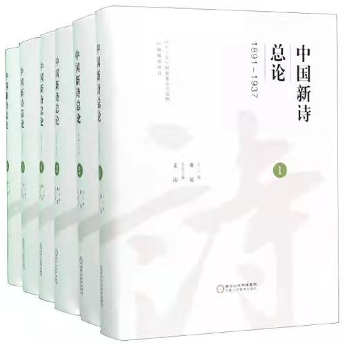 中国新诗总论 封面