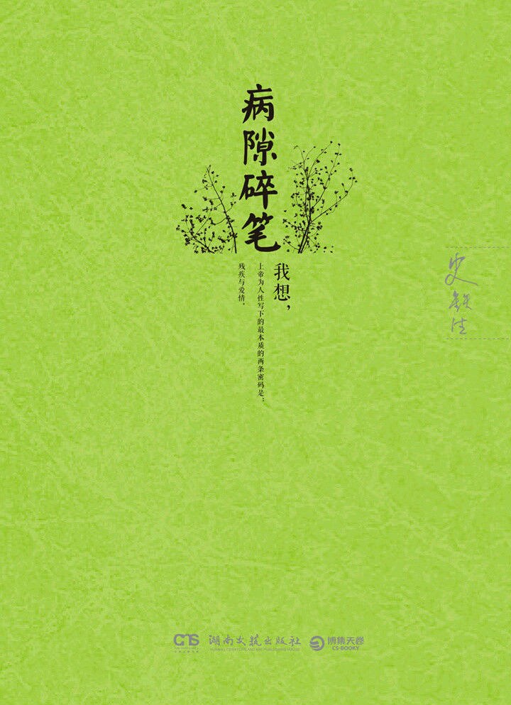 病隙碎笔 封面