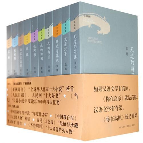你在高原 封面