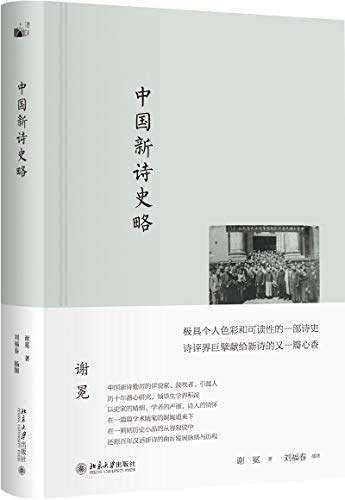 中国新诗史略 封面