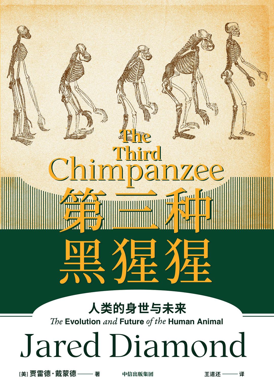 第三种黑猩猩 封面