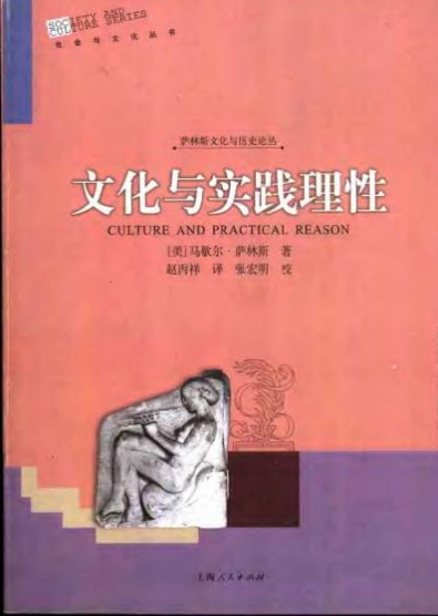 文化与实践理性 封面