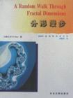 分形漫步 封面