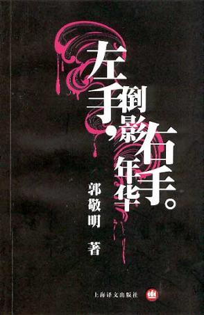 左手倒影，右手年华 封面