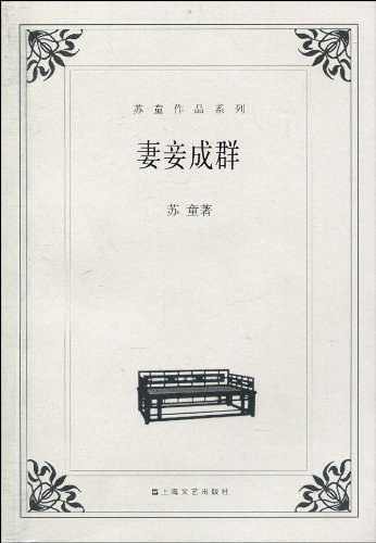 妻妾成群 封面