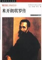米开朗琪罗传 封面