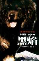 黑焰 封面