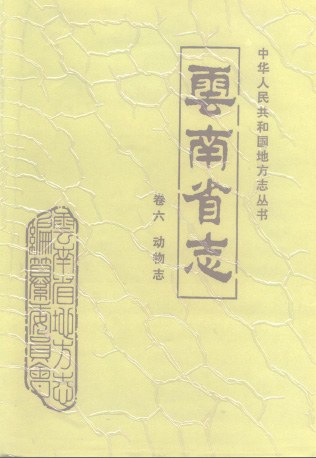 云南省志 封面
